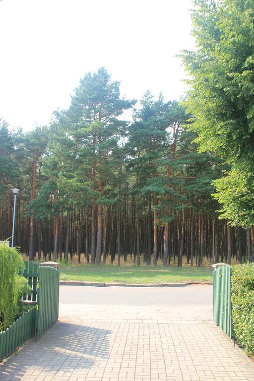 Juros Brizas * Palanga